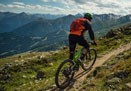 Mountain Bike Buying Guide