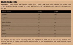 Torq Explore Organic Flapjack - Box of 20 x 65g