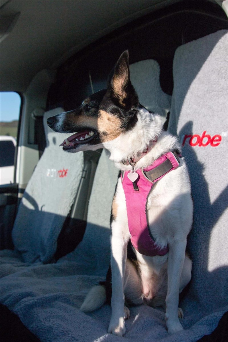 Dryrobe Car Seat Cover