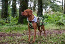 Dryrobe Dog Robe