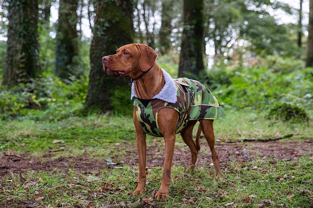 Dryrobe Dog Robe
