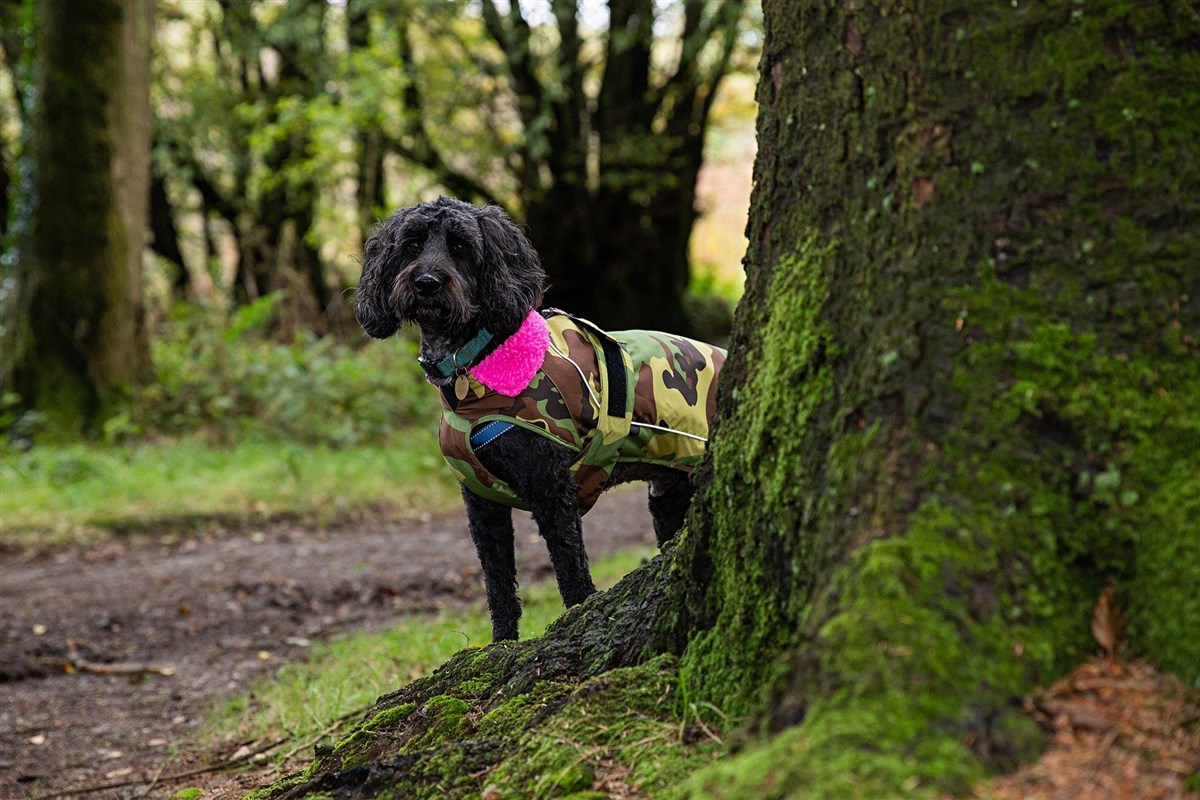 Dryrobe Dog Robe