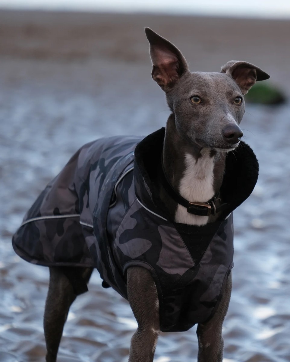 Dryrobe Dog Robe