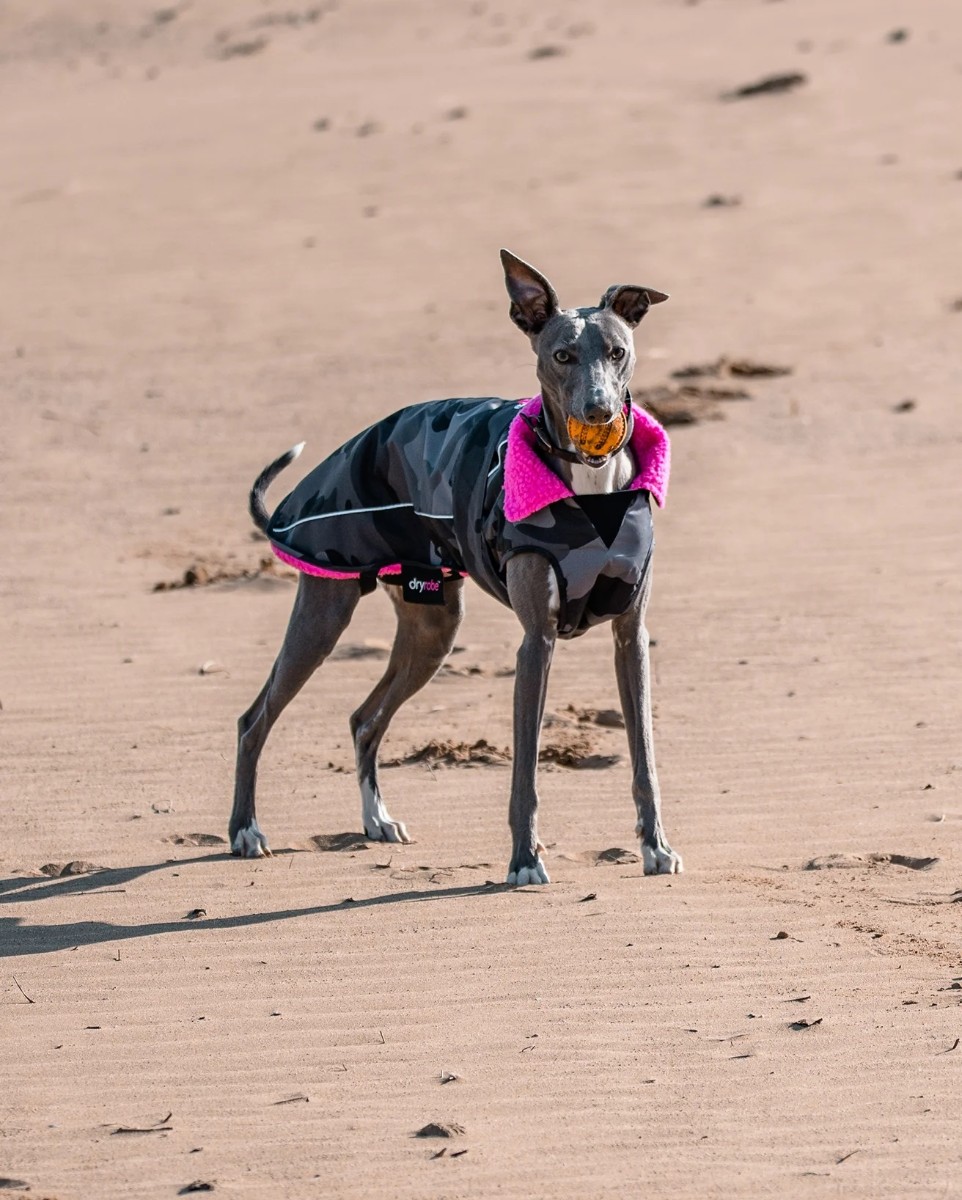 Dryrobe Dog Robe
