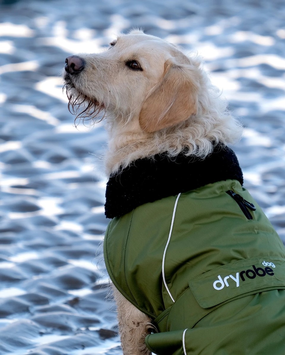 Dryrobe Dog Robe