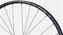Roval Control Alloy 350 29" 6 Bolt Front Wheel