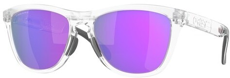 Oakley Frogskins Range Glasses