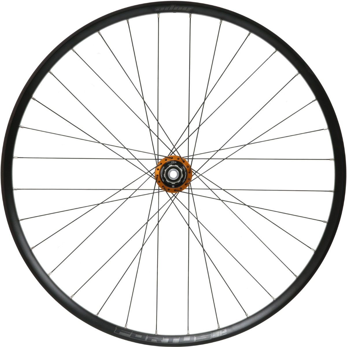 Hope Fortus 30SC Pro 5 6 Bolt DH 150mm 29" Rear Wheel