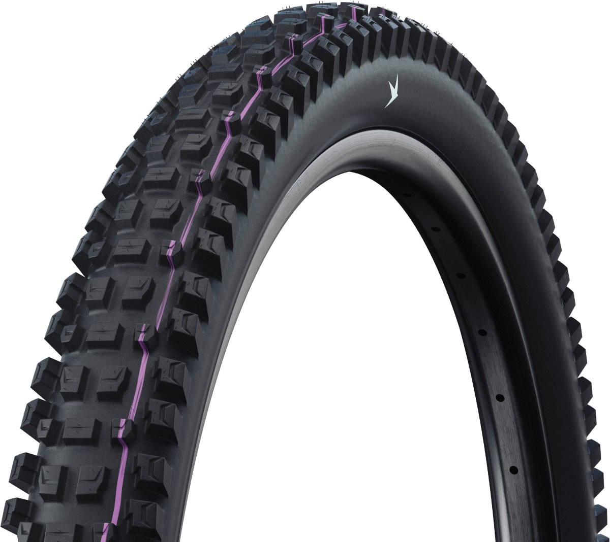 Schwalbe Albert Gravity Pro Evo Tubeless Ready Addix Ultra Soft E-50 Folding 29" Tyre