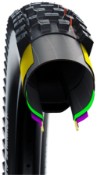 Schwalbe Albert Trail Pro Evo Tubeless Ready Addix Ultra Soft E-50 Folding 27.5"