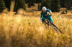 Enve Downhill MTB Handlebar