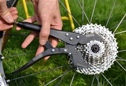 Pedros Vise Whip
