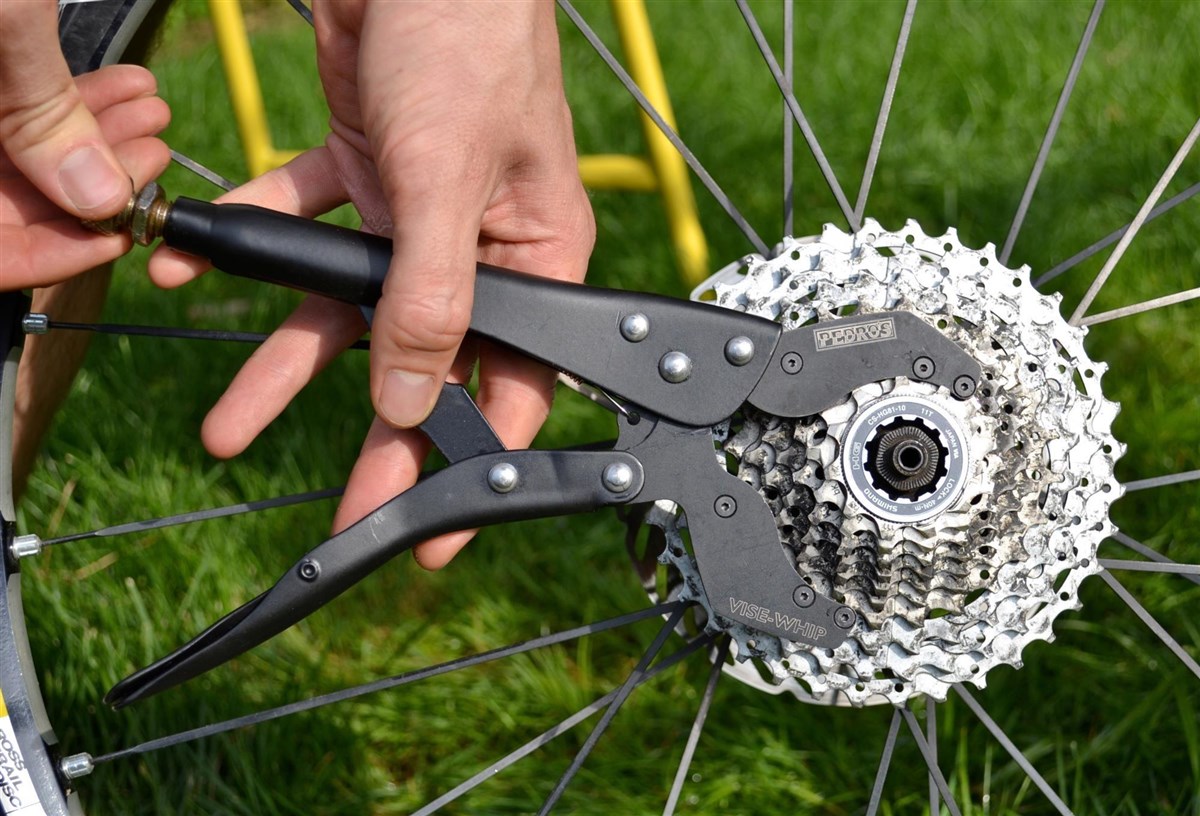Pedros Vise Whip