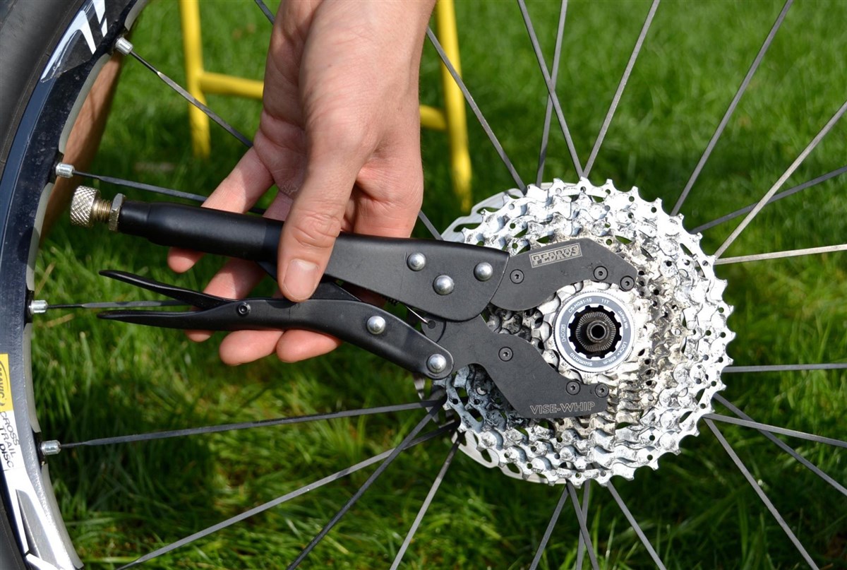 Pedros Vise Whip