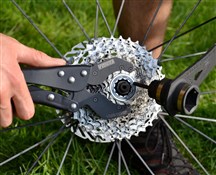 Pedros Vise Whip