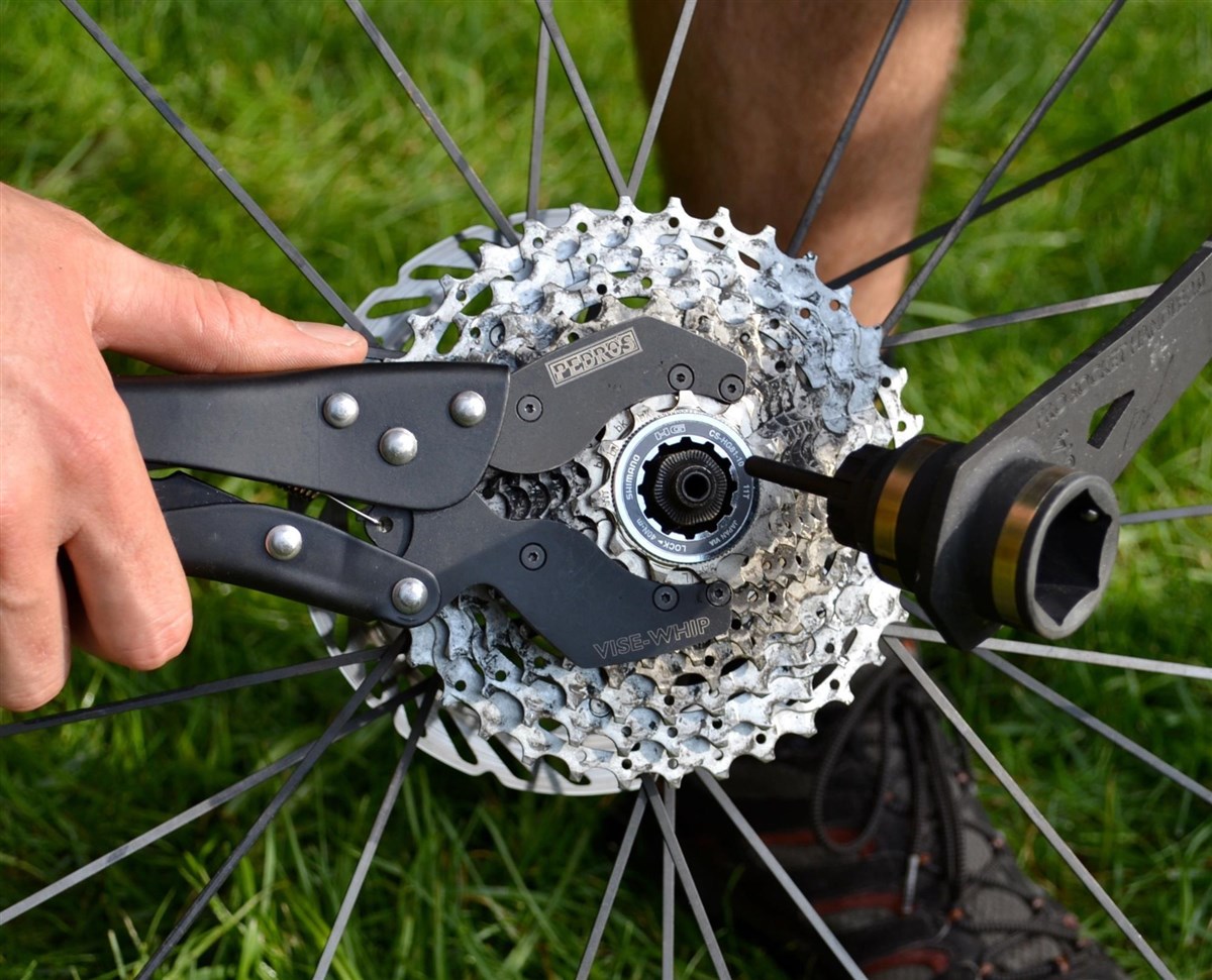 Pedros Vise Whip