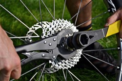 Pedros Vise Whip