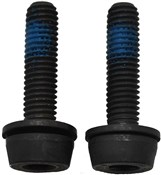 Image of Campagnolo Rear Mount Screws