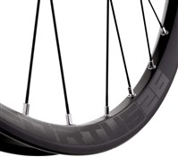 Image of Hope Fortus 26" Rim