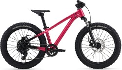 Image of Liv STP 20 FS 2026 Kids Bike