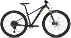 Image of Liv Tempt 1 2025 Mountain Bike