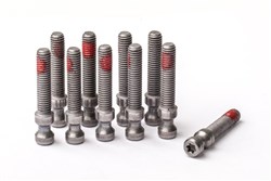 Image of Magura Quick Release Bolt For Easy Mount - T25