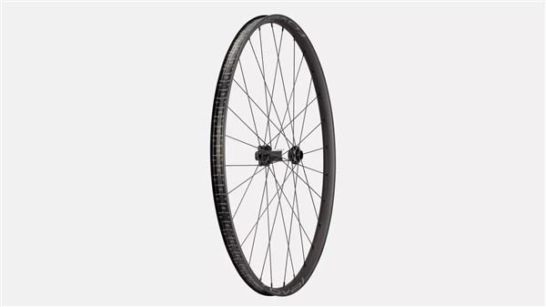 Roval Control Alloy 350 29" 6 Bolt Front Wheel